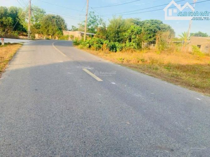 🌴 Bán gấp lô đất 159m² (100m² thổ cư) trung tâm Phước Hải – giá chỉ 900 triệu