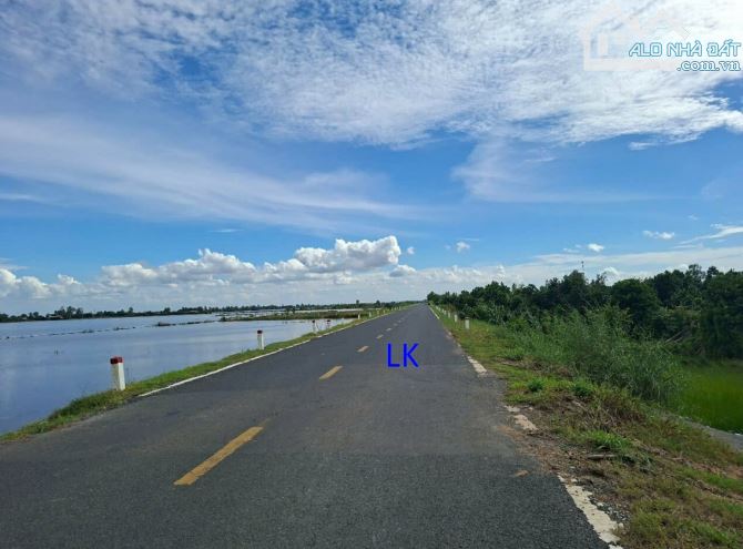 🔰Bán đất lúa: 12.000m² (50m x 240) 🔰ĐT 856, xã Phương Thịnh cũ, Đồng Tháp