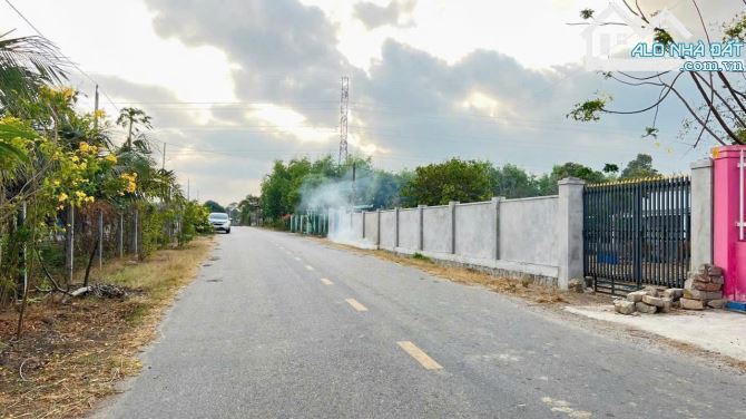 🌿 Đất đẹp trung tâm Phước Hội – Đất Đỏ, BRVT – Chủ gốc bán giá siêu tốt 💥