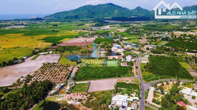 💥Bán gấp 2 lô đất Phước Hải – MT đường nhựa 8m, gần biển 3km, thổ cư, giá tốt 🏡