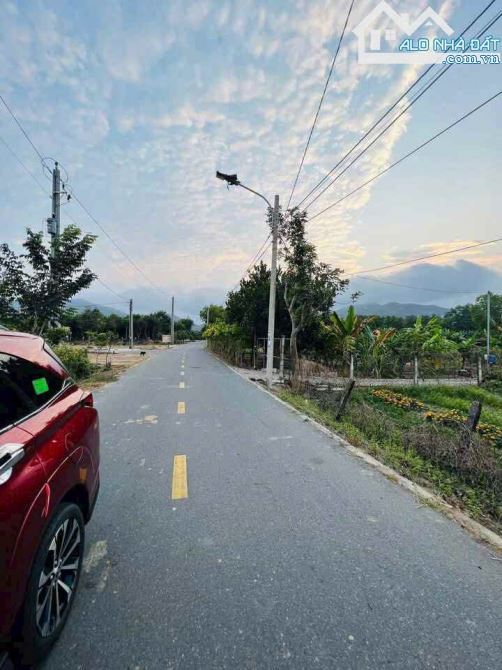 🏡 Thanh lý nhanh đất Phước Hải – 115m², full thổ cư, MT nhựa, chỉ 1,1 tỷ 💥