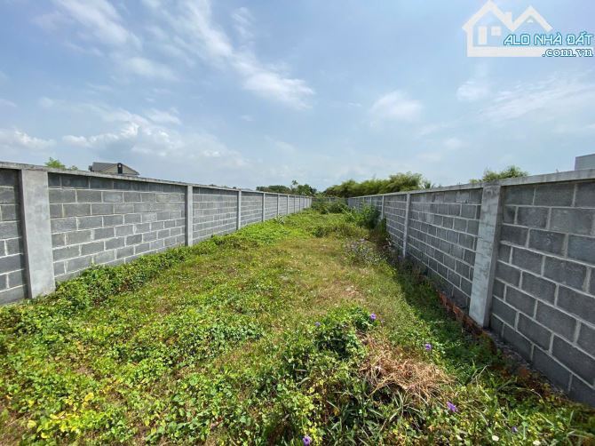 🏖️ Bán lô đất 237m² gần biển Phước Hải – có tường rào kiên cố, chỉ 1,5 tỷ 💎