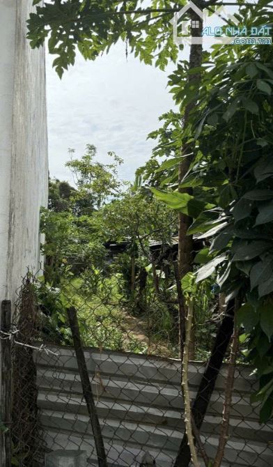 Đầu tư 35tr/m2 - Đường ôtô 5m - Nhỉnh 3 tỷ tl - SHR - Trung tâm Phú Hữu - 1 phút Nguyễn Du