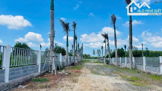 🌿 Bán đất 1000m² Phước Hội – Đất Đỏ, BRVT – Gần biển, KCN, đường Nguyễn Huệ 🏡