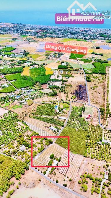 🌊 Bán đất Phước Hải 274m² view núi – gần Lan Rừng Resort, giá chỉ 2,15 tỷ 🌿🏡