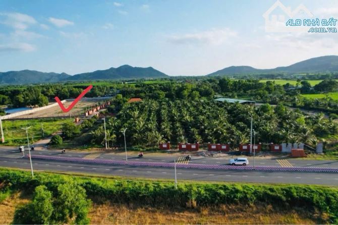 🏖️ Bán 5 lô đất biển Phước Hải 661m², gần TL44B, view đẹp – giá chỉ từ 2.58 tỷ 🌿