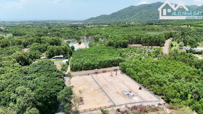 🏞️ Bán 2 lô liền kề Phước Hải view núi Minh Đạm – cách biển 4km, giá 2.8 tỷ/lô 🌊