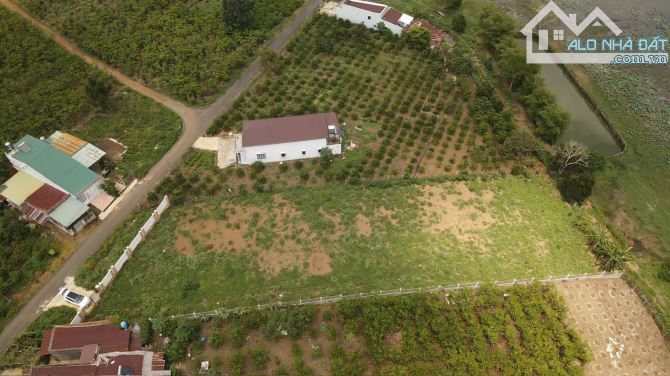 BÁN ĐẤT BIỆT THỰ NGHỈ DƯỠNG VIEW HỒ TẠI LỘC PHÁT, BẢO LỘC