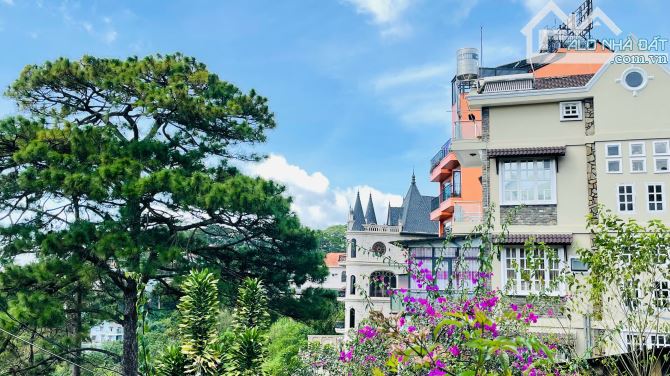 💎 Chào Bán |300m2| ĐẤT VIEW 💎23ty💎 2 Mặt Tiền Xe Hơi Tận Nơi – Đặng Thái Thân – Đà Lạt