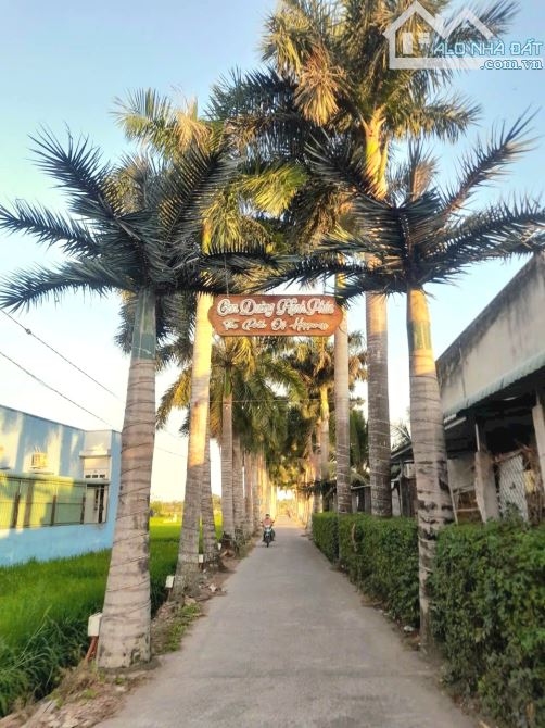 Hàng Vip, 150m2 đất thổ cư 5x 30m đường hàng cau vua, 380tr