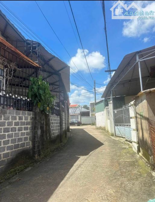 💥 ĐẤT HẺM 267 NGUYỄN VĂN CỪ PHƯỜNG TÂN LẬP ĐƯỜNG THÔNG GIÁ ỔN