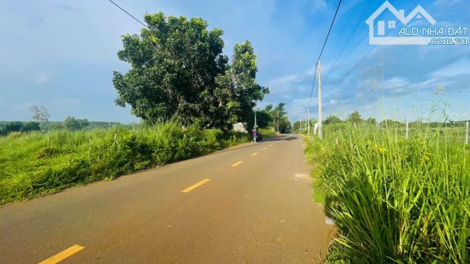 🌈 CHỦ GỬI BÁN LÔ ĐẤT MẶT TIỀN ĐƯỜNG NHỰA 8M – CMT8, TT. ĐẤT ĐỎ, BRVT