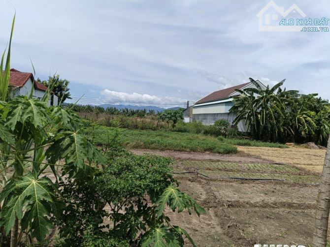 Bán 2 lô đất ngang 8m xã diên sơn cũ