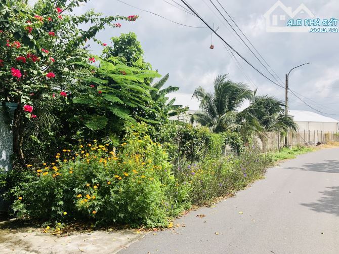 🌊 Biển Phước Hải – Đất 425m², mặt tiền 10m, gần hồ Sở Bông, xây tự do, giá 2.7 tỷ 🏡