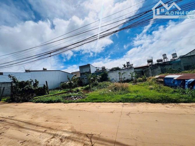 Bán lô đất hẻm cấp 1 phường Tân Lợi (5x23m. TC60)-  ổn ạ ! 💋💋