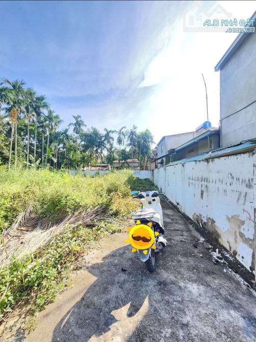 1,5Tỷ TL🔥Bán đất 70m2 cách đường Bế Văn Đàn 50m, P.Bình Nhâm, Tp.Thuận An