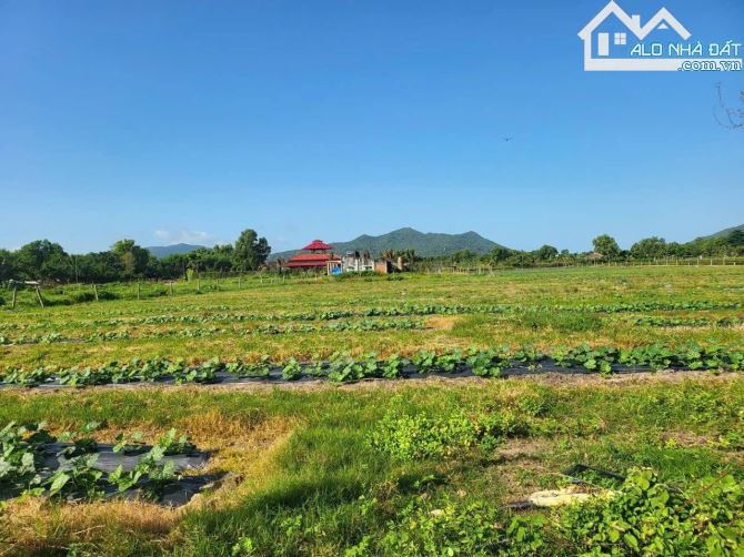 🌿 Lô góc 2 mặt tiền 234m² – Xã Phước Hải, gần biển, view đẹp, giá 2.2 tỷ 🏡