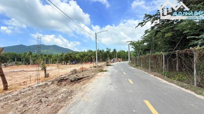 🏖️ Mặt tiền nhựa TT Phước Hải 378m² – View núi Minh Đạm, gần biển, giá 2.5 tỷ TL 🌿