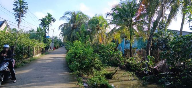 2 CĂN NHÀ liền kề. Đường Bà Tư Gạo vào 20m. Cách đường Một Quang 250m.Phước Thạnh, Mỹ Tho