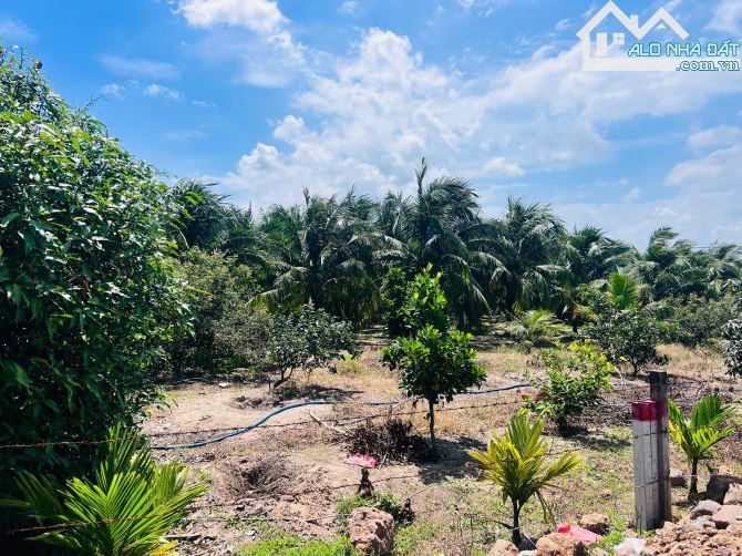 🛣️ Bán đất sát TL44B, TT Phước Hải, Long Điền – 609m², đất ở, giá 2.55 tỷ
