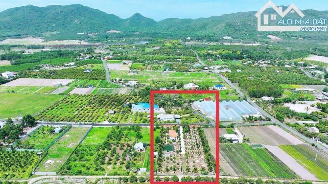 🌟 SIÊU ĐẸP Xã Phước Hải – 1000m², cách biển chỉ 3km, view núi Minh Đạm 🌊