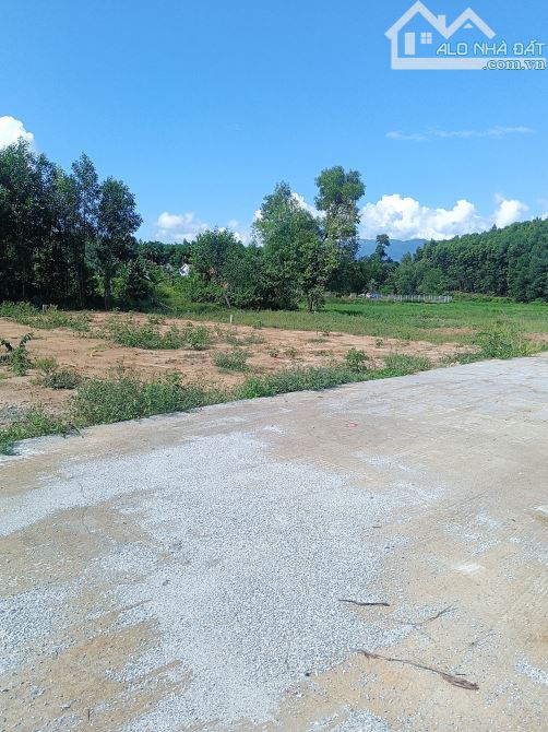 500 mét vuông ngang 20 m có 120 m² đất ở Hòa Vang