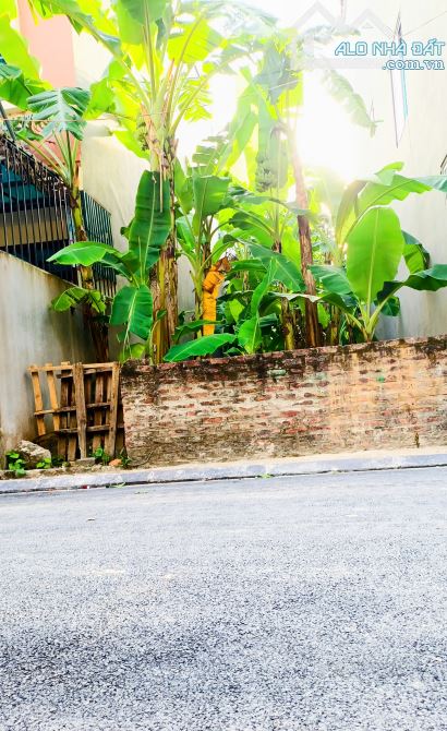 BÁN GẤP 75M² HẢI BỐI - ĐÔNG ANH: GIỮA CẦU  THĂNG LONG & NHẬT TÂN, NHỈNH 5 TỶ!  🔥