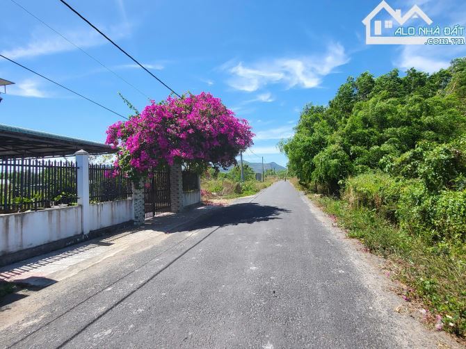 🌴 ĐẤT TRUNG TÂM PHƯỚC HẢI – GIÁ RẺ CHỈ TỪ 600 TRIỆU – SỔ HỒNG SẴN 📜 - 10