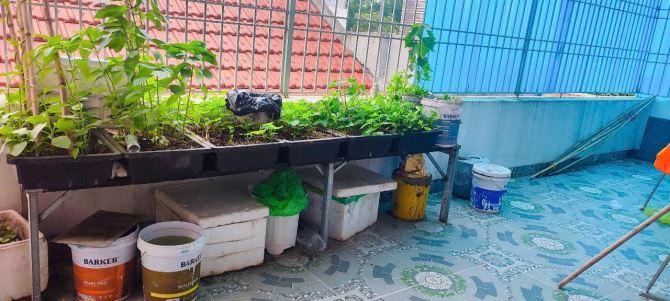 nhà phố thanh hóa dường quang trung phuong đông vệ - 10