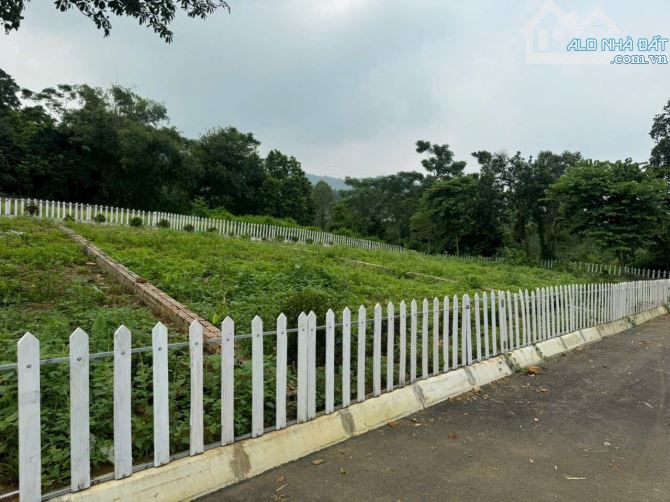 Cần bán đất 317m 1.75tỷ mặt tiền đẹp như Sapa - Liên Sơn, Lương Sơn, Hoà Bình - 2