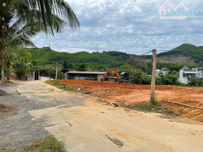Đất làm farm 3800m2 cây lâu năm, gần đường DT602, gần khu sinh thái - 1