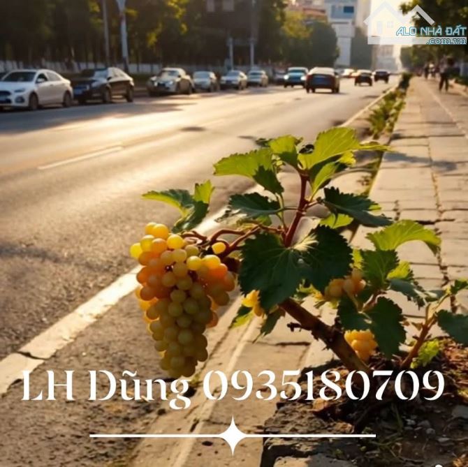 Bán lô góc đẹp 2 mặt tiền đường trung tâm hướng đông nam dt sổ đỏ 80m n5m lộ giới đường 1à - 1
