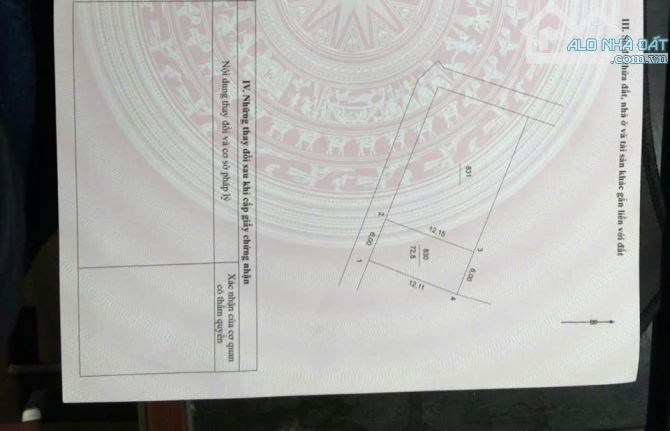 Mảnh đất giá rẻ gần chợ ô tô ngủ trong đất 👉 tự nhiên -thường tín - 1