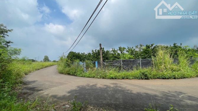 Bán đất vườn góc 2 mặt tiền sổ riêng thổ cư Tân Triều Vĩnh Củu - 1