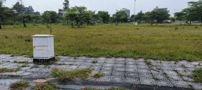 SHR, 120m2/ 1tỷ 250, liền kề KCN, SB Long Thành, nội khu Phố Lê Duẩn, dễ Thanh Khoản - 1