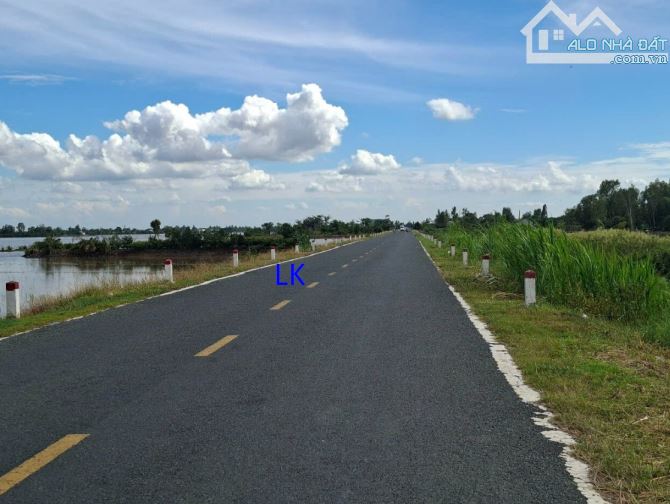 🔰Bán đất lúa: 12.000m² (50m x 240) 🔰ĐT 856, xã Phương Thịnh cũ, Đồng Tháp - 1