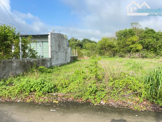 🏡 Bán đất Phước Hội – Bà Rịa Vũng Tàu, 130m² full thổ cư, cách biển 3km 🌊 - 1
