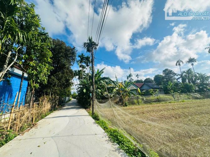 ĐẤT AN ĐÔ - PHƯỜNG KIM TRÀ, TP HUẾ CHỈ 770 TRIỆU - 1