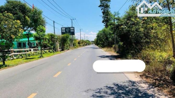 🏡 Bán đất trục chính gần UBND TT Phước Hải – 250m², 2 lô liền kề, giá 1,2 tỷ 🌊 - 1