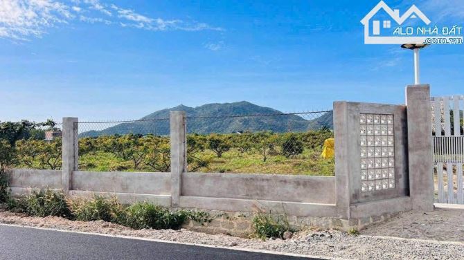 🚨 Bán gấp đất nhà vườn view núi Phước Hải 2.040,5m² – 2 mặt tiền, cách biển 1km chỉ từ 1, - 1