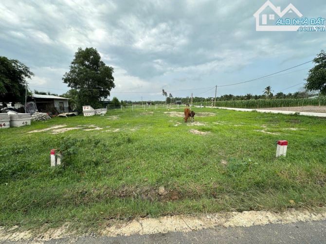 🏡 Bán gấp lô đất view núi Minh Đạm – Gần biển Phước Hải, 136m² 🌊 - 1