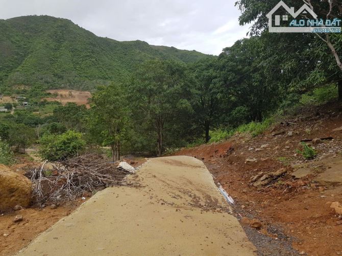Bán lô đất rừng quy hoạch TMDV Suối Tôm Đường Đệ - 1