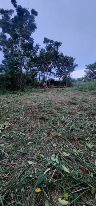 Bán đất siêu đẹp gần Đường 328 mới phước tân, xuyên mộc, 1,05 tỷ, 162m2 - 1