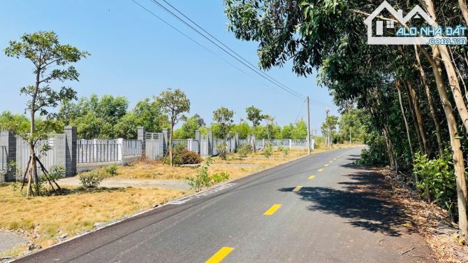 🌿 Bán đất 1000m² Phước Hội – Đất Đỏ, BRVT – Gần biển, KCN, đường Nguyễn Huệ 🏡 - 1