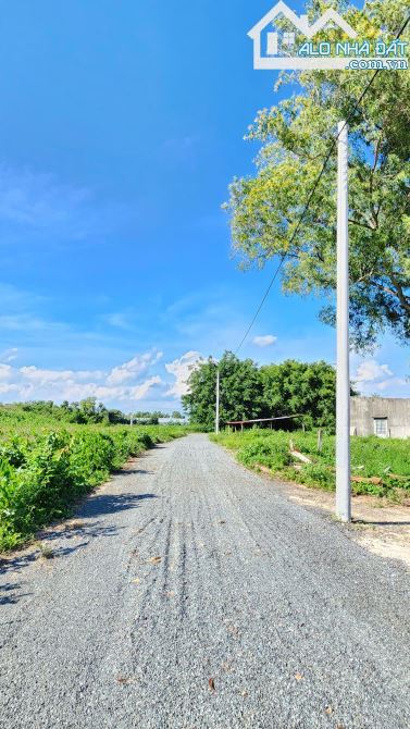 🌿 Bán đất Phước Hải 1.140m², 60m² thổ cư, MT 22m, giá 2,7 tỷ – Sổ sẵn 🌊 - 1