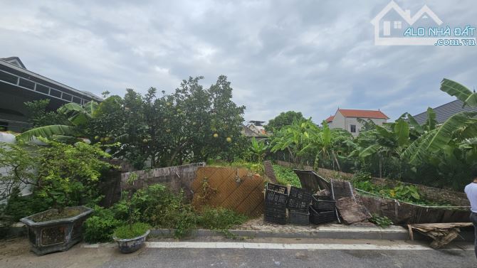 🔥 Trung tâm Trung Châu B – 87,3m² mặt đường ô tô tránh, kinh doanh cực đỉnh! 🔥 - 1