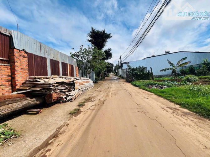 Bán lô đất hẻm cấp 1 phường Tân Lợi (5x23m. TC60)-  ổn ạ ! 💋💋 - 1