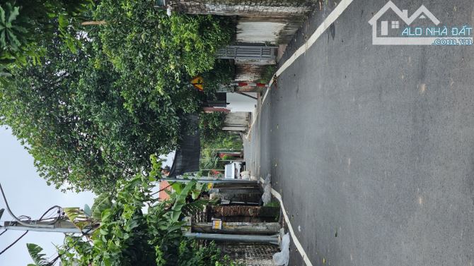 🌳 Bán 87m² đất Thọ Xuân – Đan Phượng, đường to, thông tứ phía, ô tô đỗ cửa! 🌳 - 1