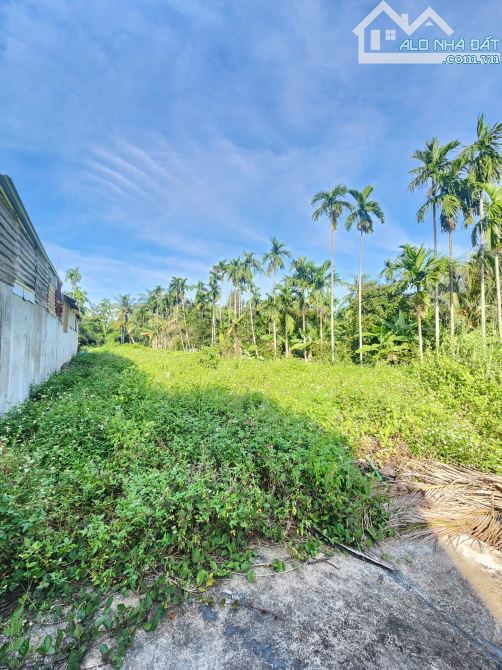1,5Tỷ TL🔥Bán đất 70m2 cách đường Bế Văn Đàn 50m, P.Bình Nhâm, Tp.Thuận An - 1