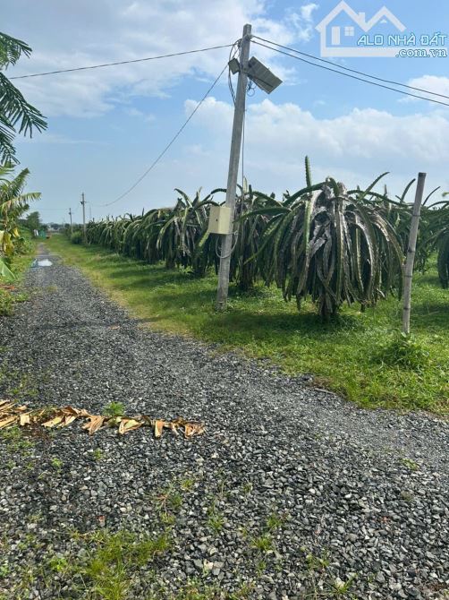 Bán Đất 2.85 Hecta 2 Mặt Tiền View Hồ Núi Đất, Tân Tiến, La Gi - 1